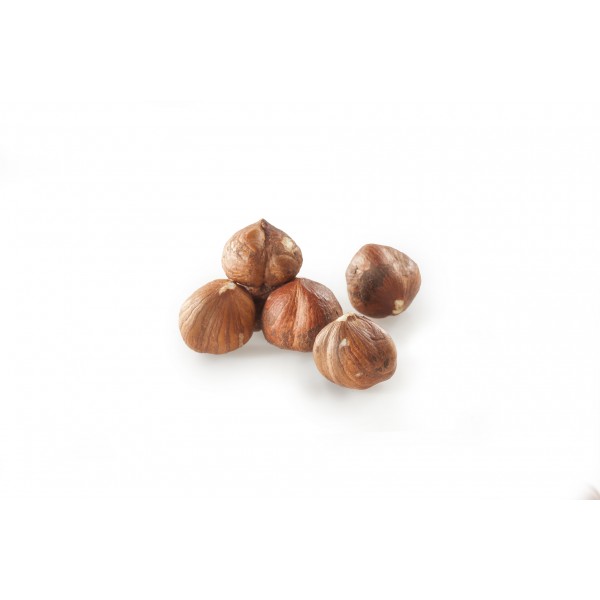 raw - dried nuts - HAZELNUT KERNELS RAW RAW NUTS